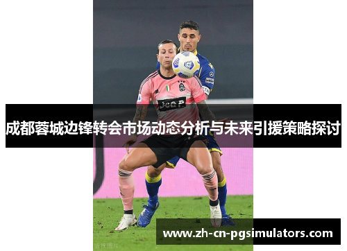 成都蓉城边锋转会市场动态分析与未来引援策略探讨